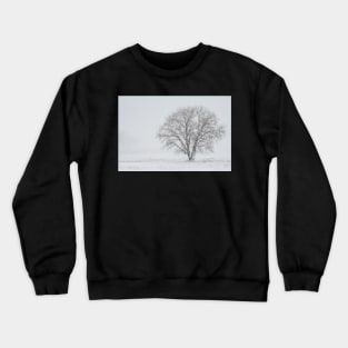 Bare Tree Crewneck Sweatshirt